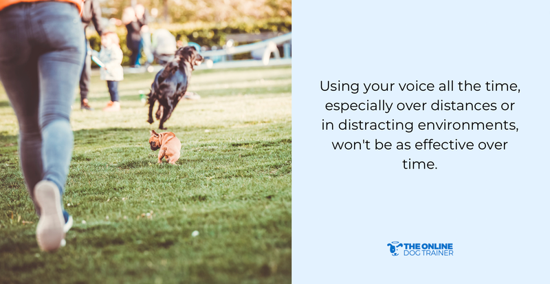 dog recall training whistle