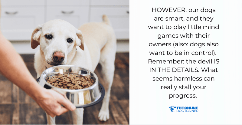 five golden rules doggy dan