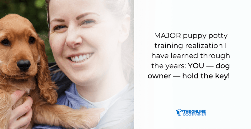 potty training puppies