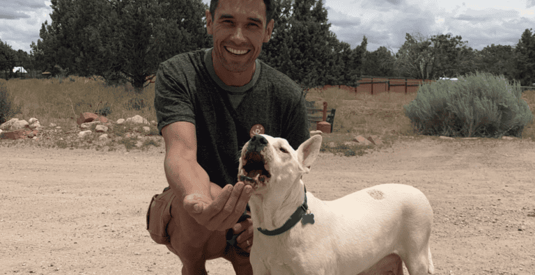 How to Stop Dog Barking Without Hurting Your Dog or Puppy cover