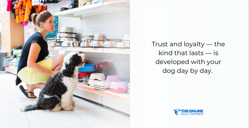 how to connect with dogs