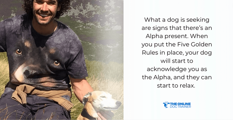 doggy dan five golden rules