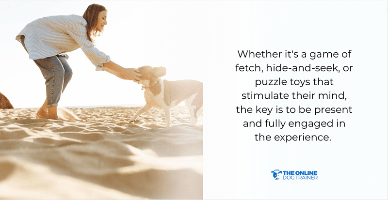 how to bond with dogs