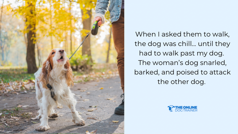 how to help fearful dogs