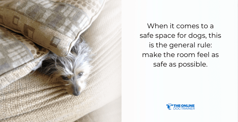 safe space for dogs