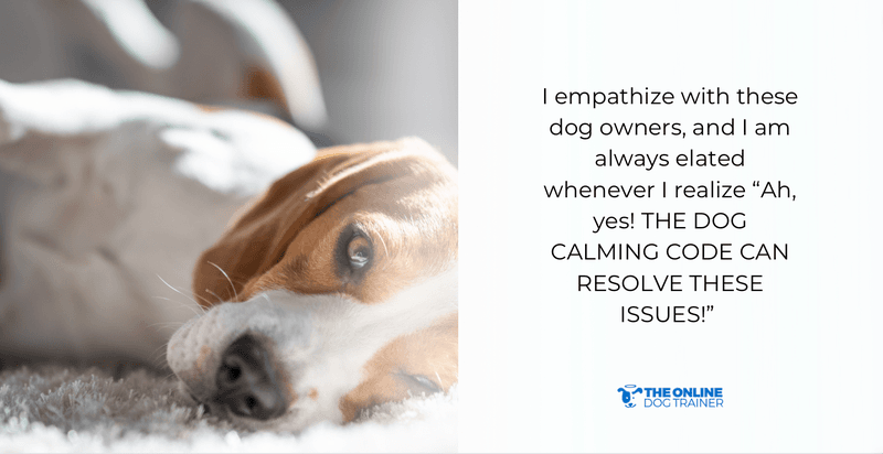 dog calming code