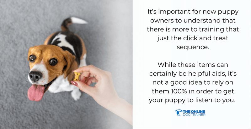 puppy training classes