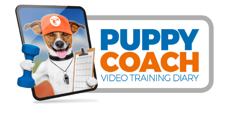 puppy coach doggy dan 