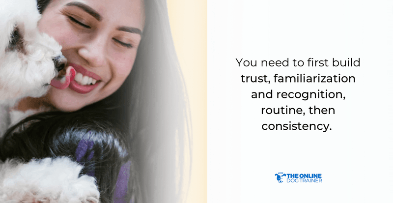 potty training puppies