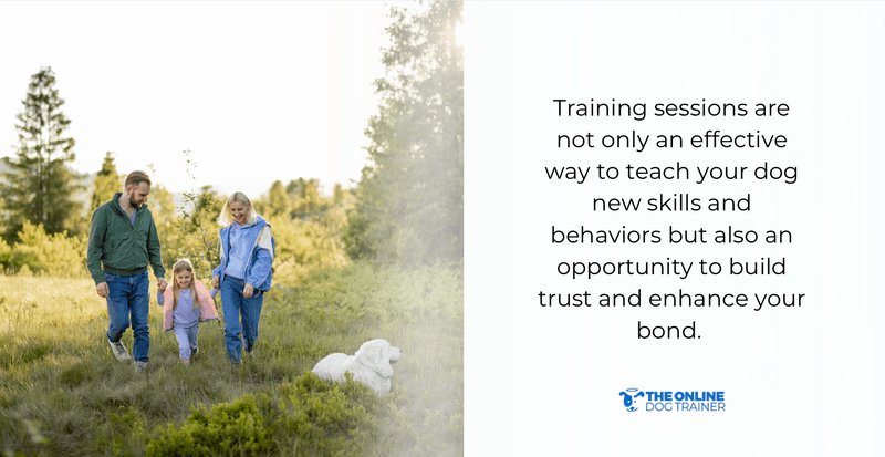 how to bond with dogs