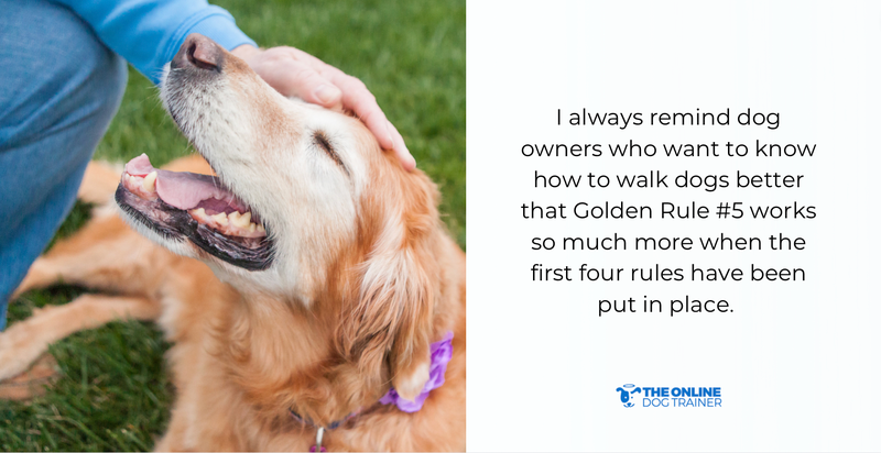 how to walk your dog