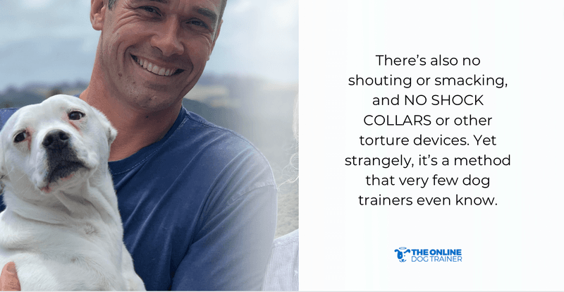 five golden rules doggy dan