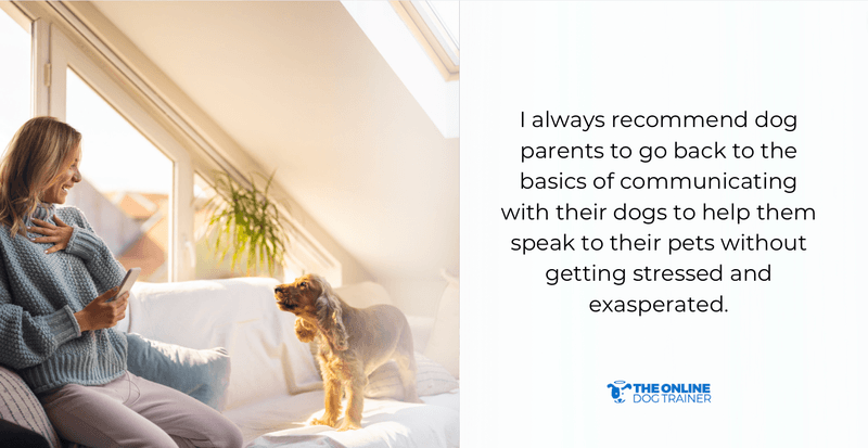 keep dogs warm at night during winter