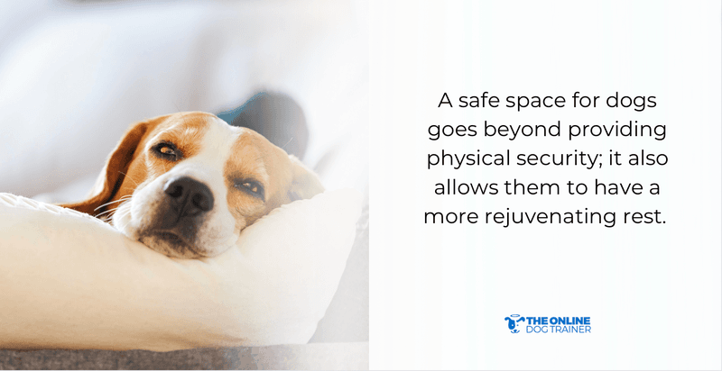 dog safe space