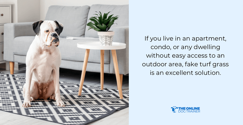 grass patch for pet training