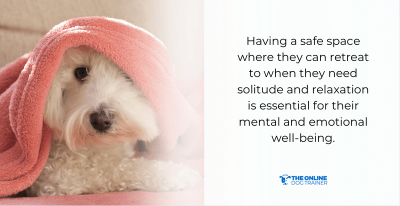 safe space for dogs