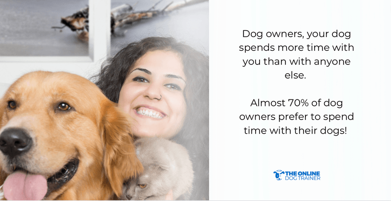 what affects dog behavior