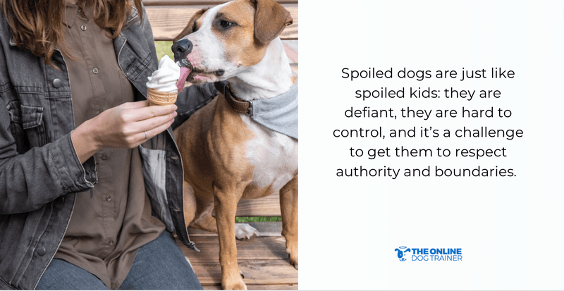 how to stop spoiling dogs
