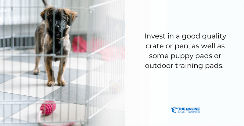 puppies potty training