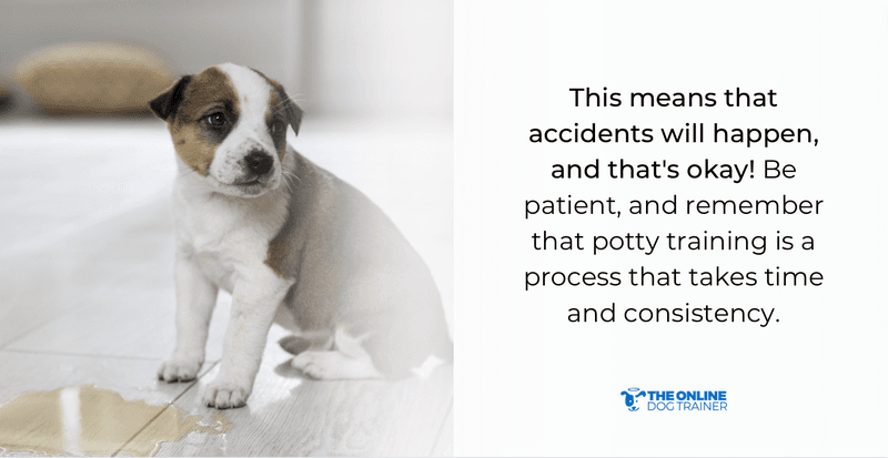 potty training puppies