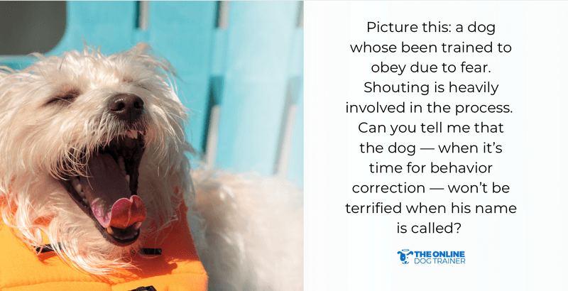 how to improve dog behavior