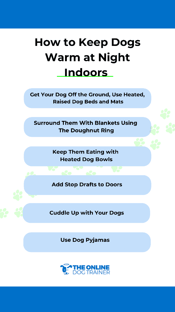 how to keep dogs warm winter