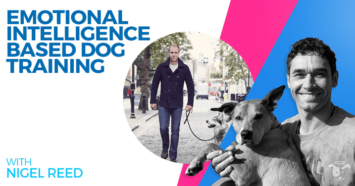 Nigel-Reed-Emotional-Intelligence-Based-Dog-Training-HEADLINE-Image-