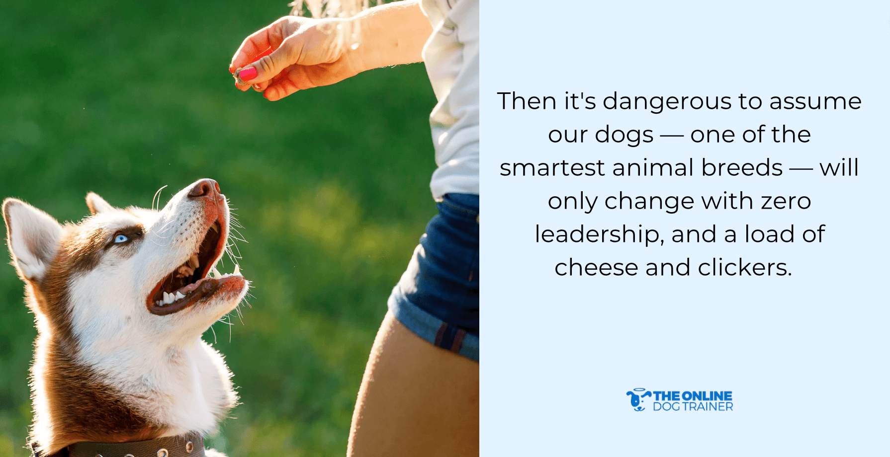 pack leader theory debunked