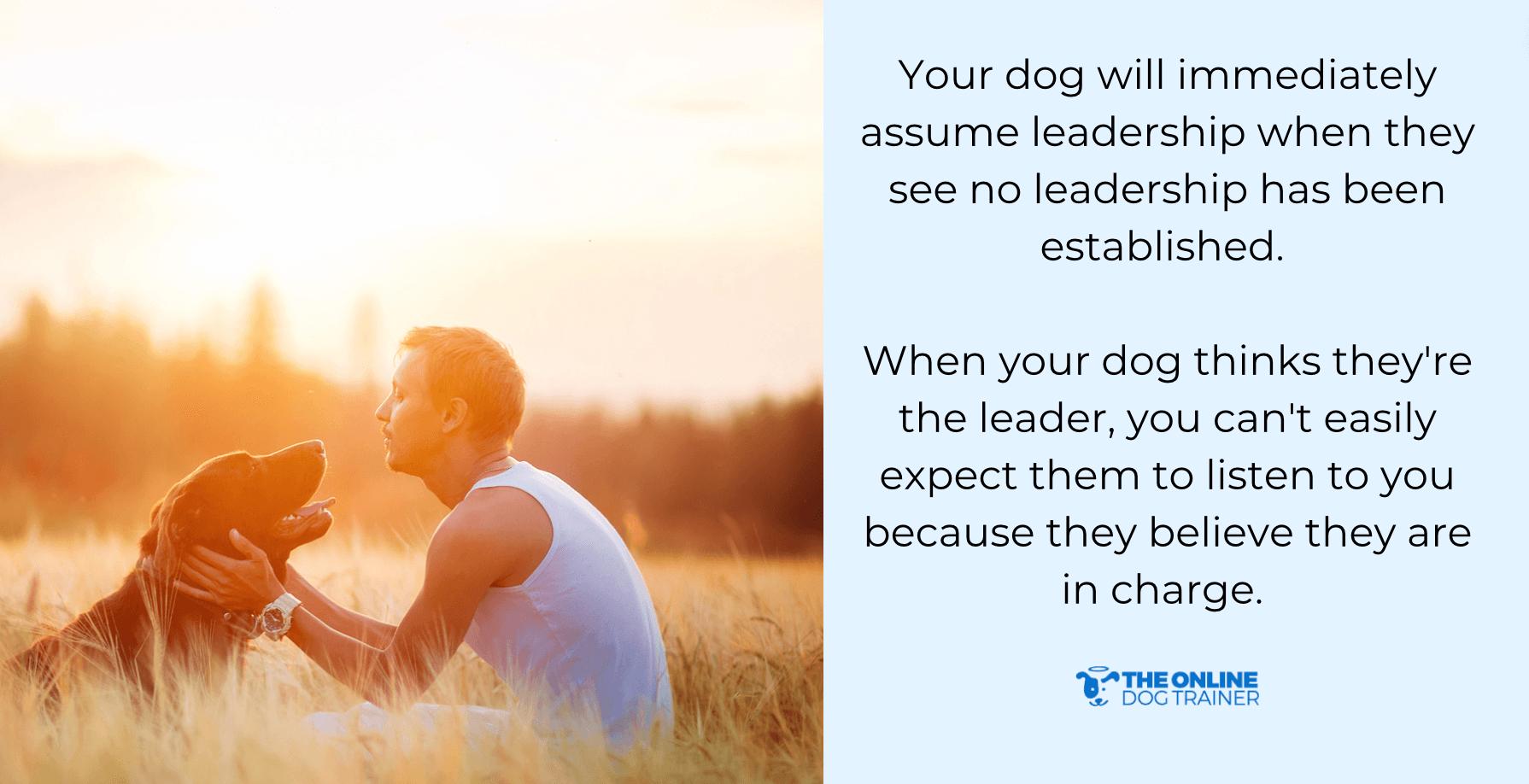 pack leadership theory