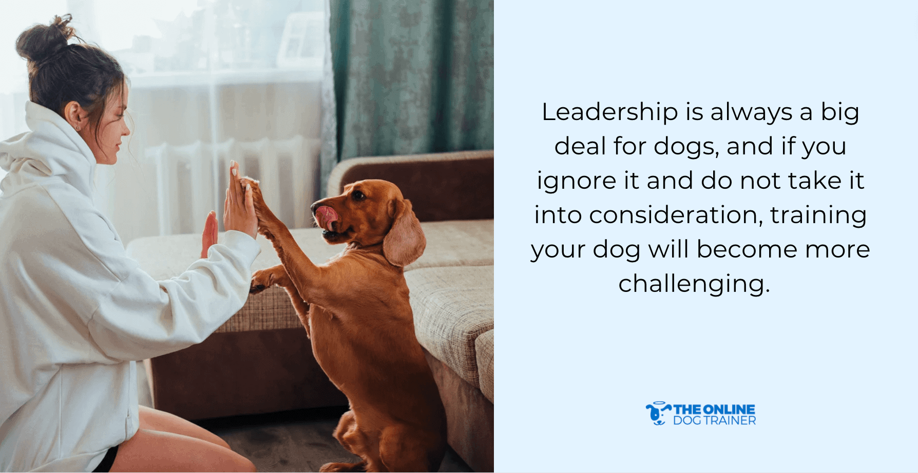 pack leadrship dog training
