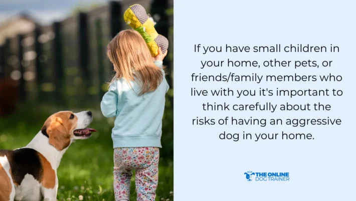 how to train own dog that is aggressive