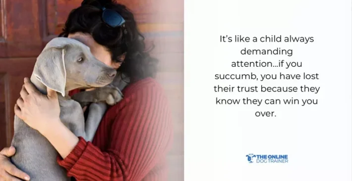 a dog's favorite person