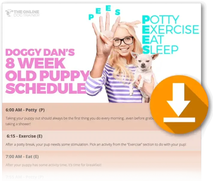 8-week-old-puppy-POTTY-schedule