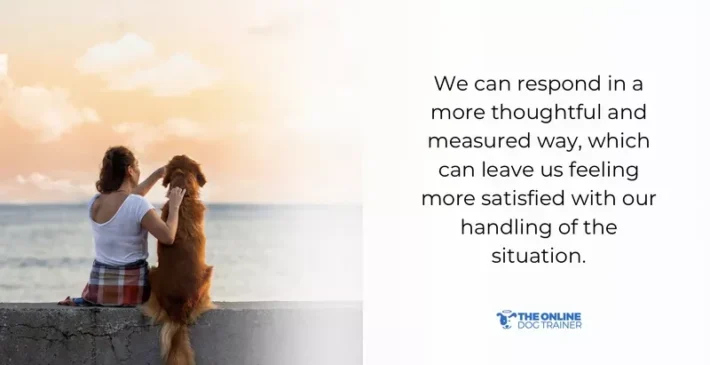 begin giving timeouts to dogs when needed