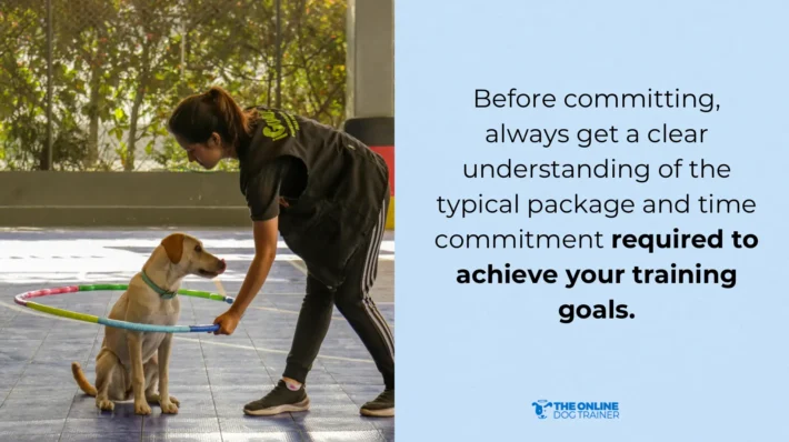 best dog training programs