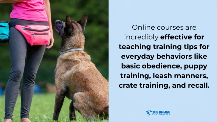 Canine communication body language