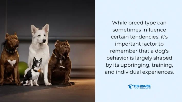 certified applied animal behaviorist