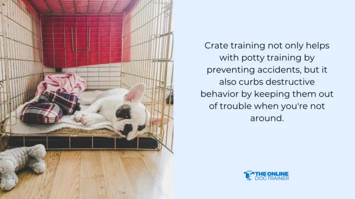 crate training practice