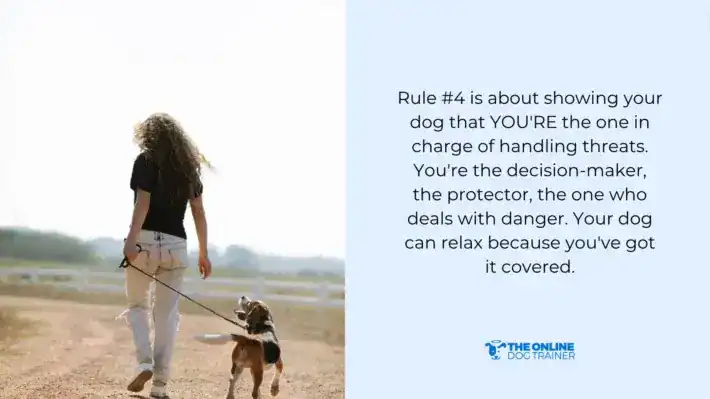 dog barking behavior