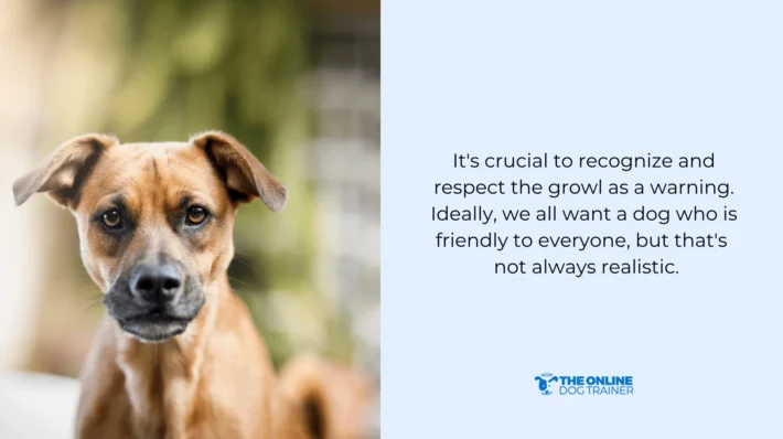 dog growling training