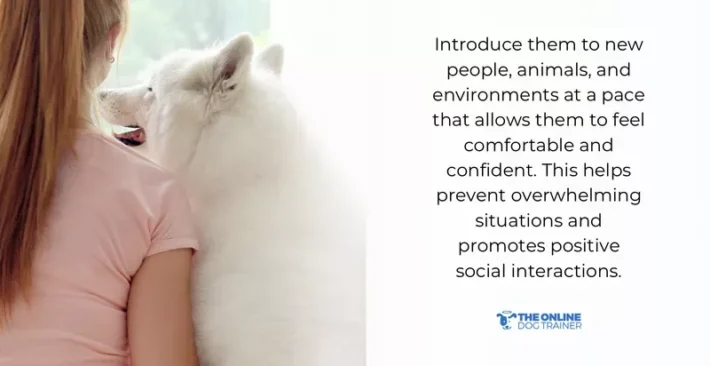 dog physical touch love language