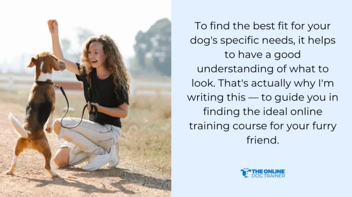 dog training process