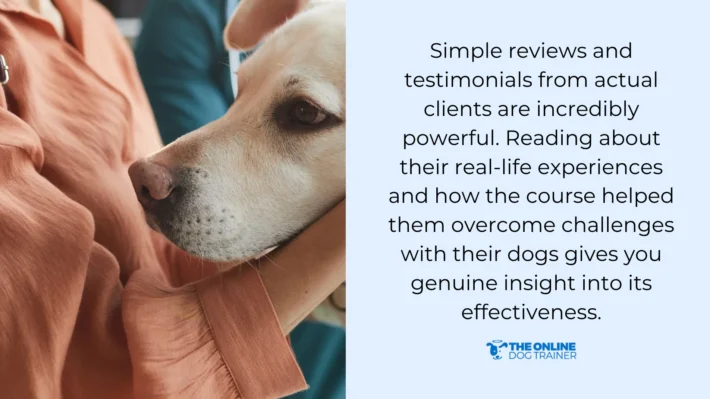 feedback doggy dan dog trainer