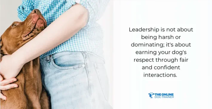 five golden rules doggy dan