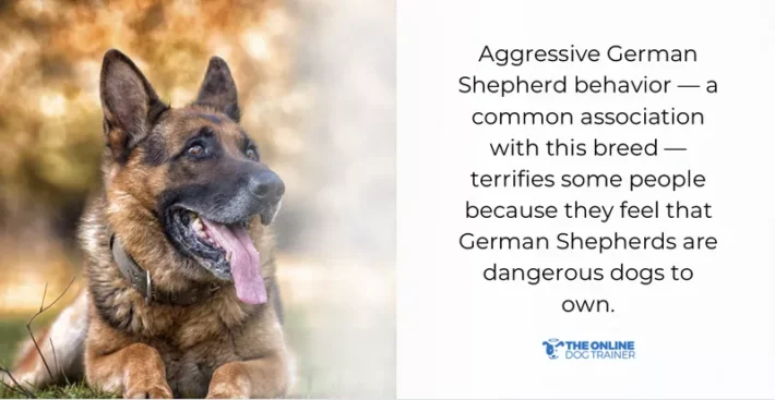 german behavior aggression