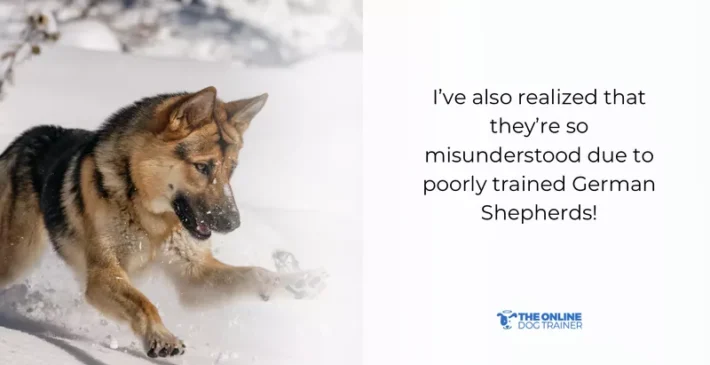 german shepherd behavior