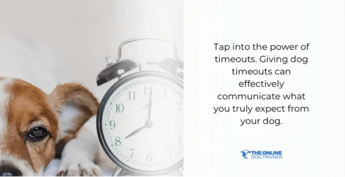 how to do timeout for dogs