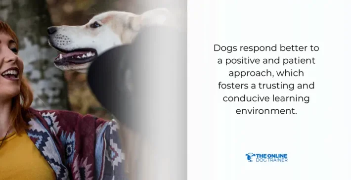 how to make dogs listen