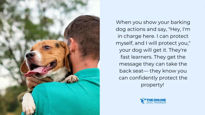 natural behavior barking dog