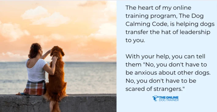 how to stop reactive dog behavior